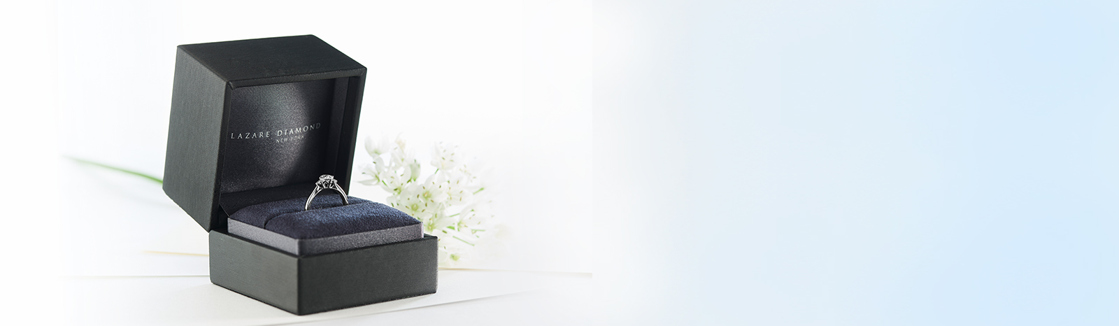 『June Bride Bridal Fair』開催 6月3日(土)-6月2日(日)